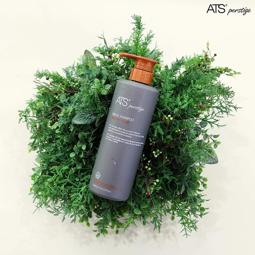 ATS Perstige Bresh Shampoo - Silicone-Free Formula for Oily Scalp | 600ML Size
