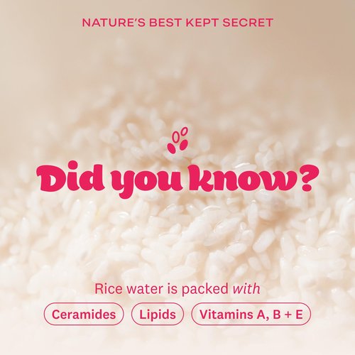 The Face Shop Rice Water Bright Vegan Eye Cream - Eye Cream for Dark Circles - Dark Circles Under Eye Treatment - Under Eye Brightener - Hydrating - Niacinamide - Hyaluronic Acid - Korean Skin Care