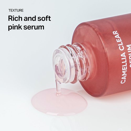 Meebak Camellia Clear Serum – Gentle Exfoliating Serum for Uneven Tone & Texture – Refines Look of Pores & Boosts Radiance with AHA, PHA + Niacinamide – Korean Skincare