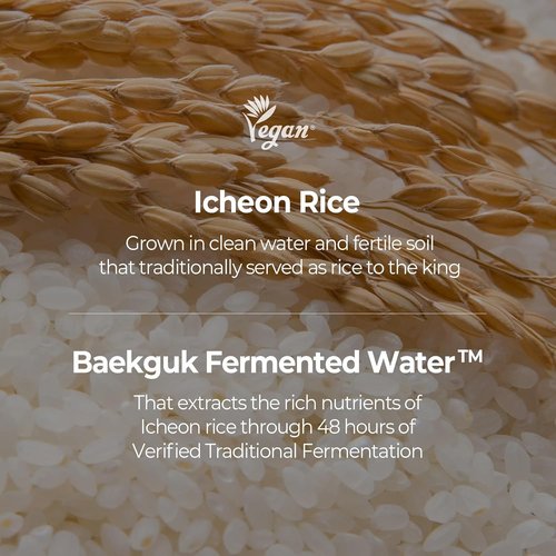 SKINFOOD Rice Daily Sheet Mask - Hydrating Vegan Face Mask with Rich Rice Essence | 10 Pack for Smooth, Radiant Skin