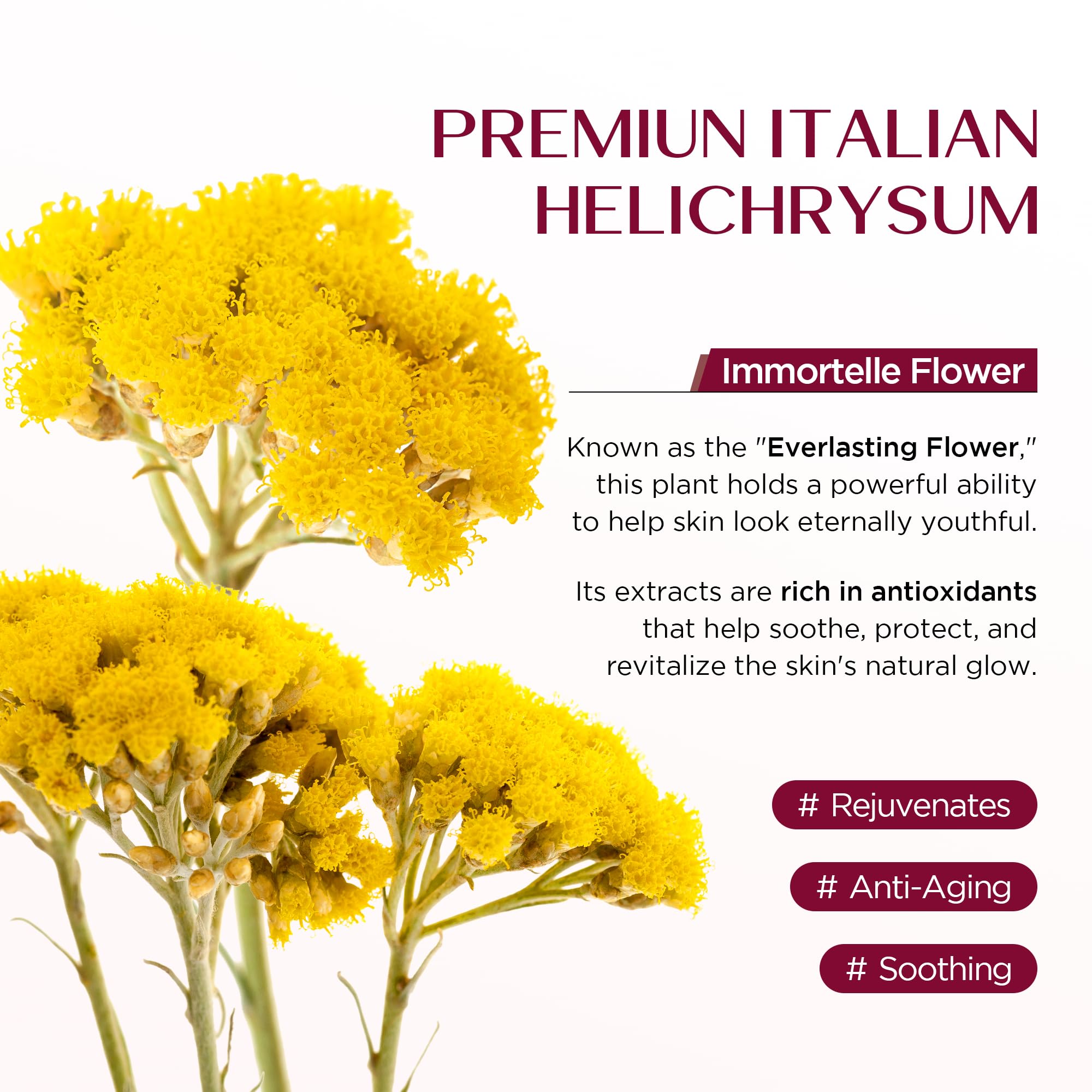 Vigority Helichrysum Balm Soothes & Repairs: Restorative Cream with Arnica & Calendula for Thin, Fragile, Bruised & Aging Skin – Moisturizes & Revitalizes Face & Body – Whipped Texture – 3.4 oz