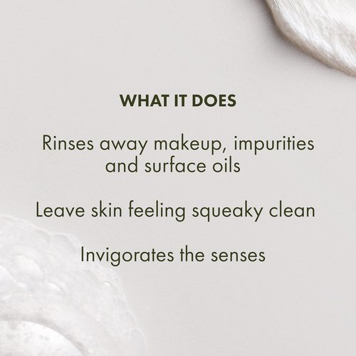 Origins Checks and Balances Frothy Face Wash - Gentle Cleanser for All Skin Types with Mint