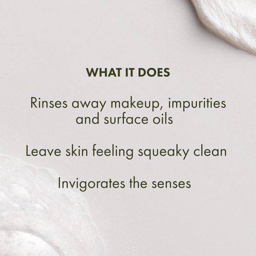 Origins Checks and Balances Frothy Face Wash | Gentle Face Cleanser for All Skin Types | With Mint, 5 Fl Oz
