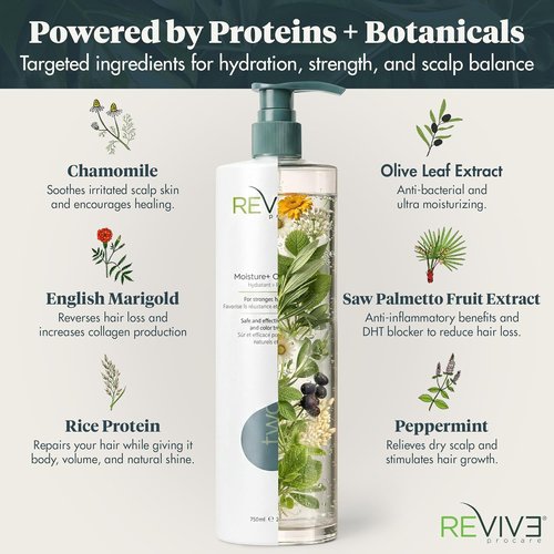 Reviv3 Procare Prime Moisture Conditioner - Color Safe & Volumizing for Healthy Scalp | Reduces Breakage (25.4 oz)