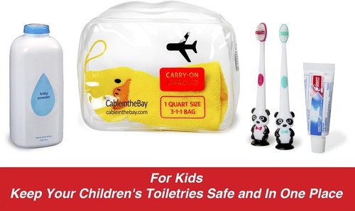 Skiennix TSA Approved Clear Travel Toiletry Bag | Quart-Sized Zippered Design for Airport Compliance