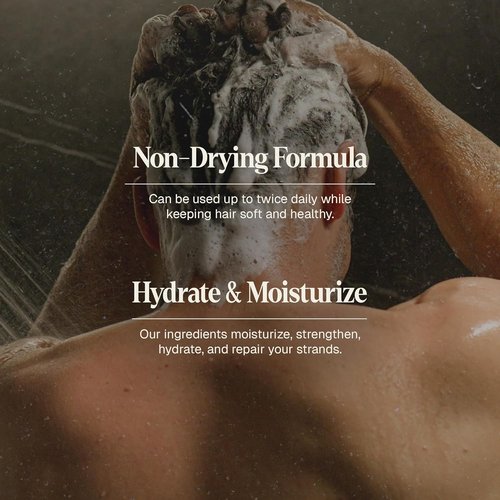 Black Wolf Charcoal-Infused Men's Shampoo | 2-Pack for Oily Hair - 12 Fl Oz Each - Deep Cleansing & Hydrating Formula