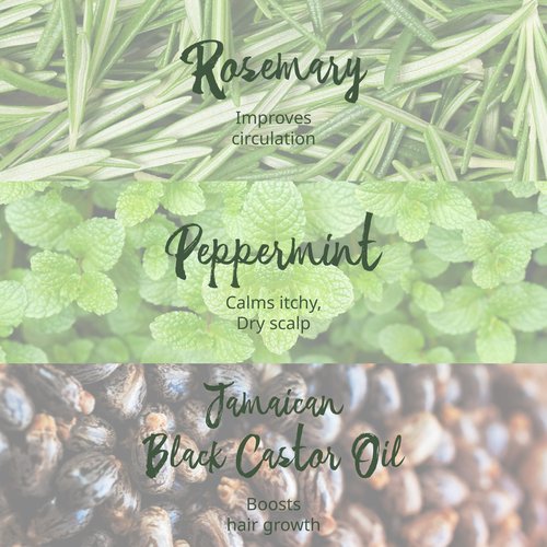 Tropic Isle Living Rosemary Mint Leave-In Conditioner 8oz/ 237ml - Detangles, Moisturizes, Repairs Scalp and Damaged Hair with Natural Formula, Suitable for All Hair Types, Cruelty-Free