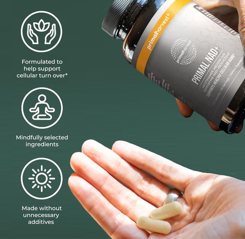 Primal Harvest NAD+ Supplement - Cellular Health & Energy Support with Nicotinamide Riboside (60 Count)
