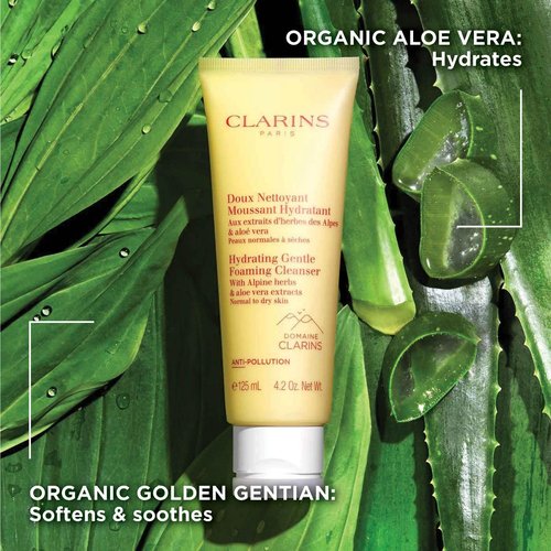 Clarins Hydrating Gentle Foaming Cleanser - Revives Radiance & Balances Skin | Green Formula with Organic Aloe Vera
