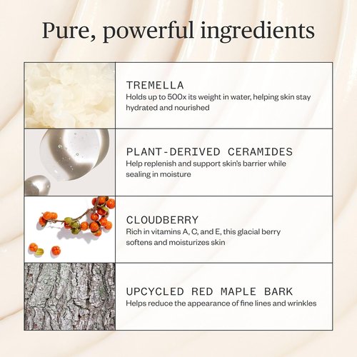Ursa Major Alpine Rich Cream - Deeply Hydrating Natural Face Lotion | Supports Skin Barrier & Targets Fine Lines | Vegan & Cruelty-Free | 1.69 oz