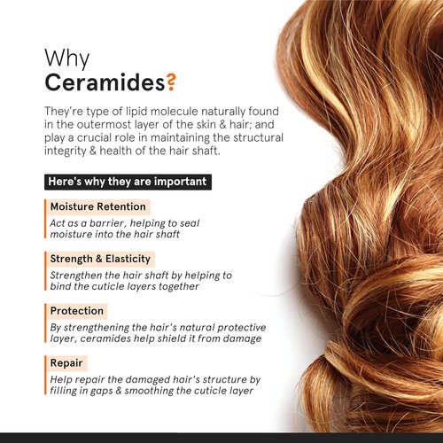 Skiennix Minimalist Frizz Control Complex - Keratin, Argan Oil & Ceramide | Smooths & Protects All Hair Types | 1.69 fl oz / 50 ml