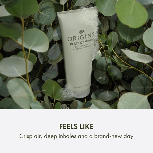 Origins Peace of Mind Daily Body Wash | Cleanses Skin & Awakens Your Senses| With Our Signature Scent of Peppermint, Basil and Eucalyptus, 6.7 Fl Oz