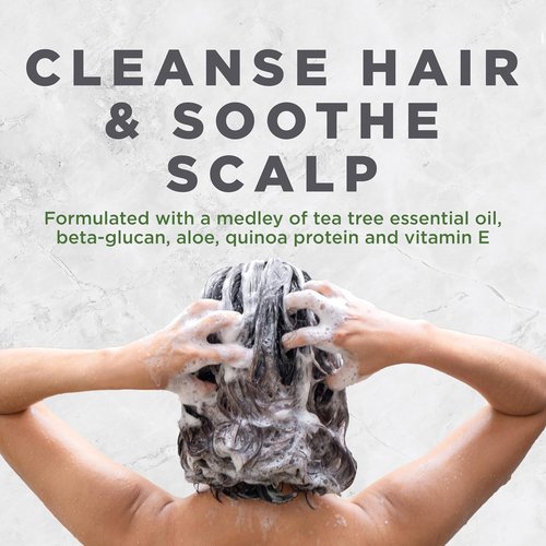 Avalon Organics Tea Tree Shampoo - Scalp Treatment for Healthy Hair & Softness | 11 Fl. Oz.