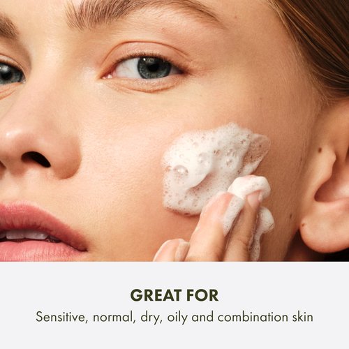 Origins Checks and Balances Frothy Face Wash | Gentle Face Cleanser for All Skin Types | With Mint, 5 Fl Oz