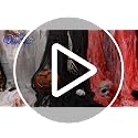 Halloween Red Bloody Creepy Cloth 500 x 87 Inch - Spooky Gauze for Haunted House Decorations - Variation of THIS listing