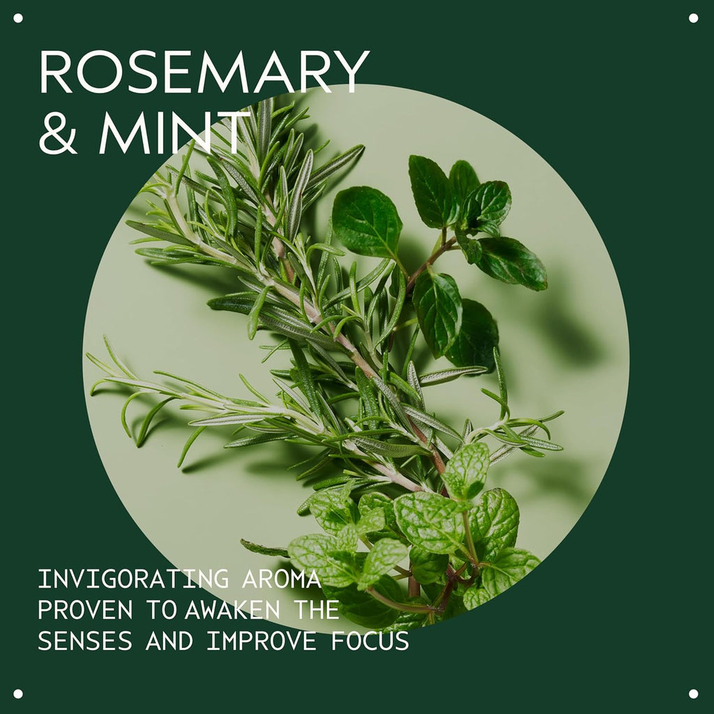 Aveda Rosemary Mint Purifying Shampoo & Conditioner Duo - Clarifying Formula for Normal to Oily Hair | 97% Naturally Derived | Liter Size
