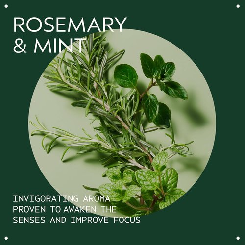Aveda Rosemary Mint Purifying Shampoo - Clarifying Formula for Normal to Oily Hair | Gently Removes Buildup & Adds Shine