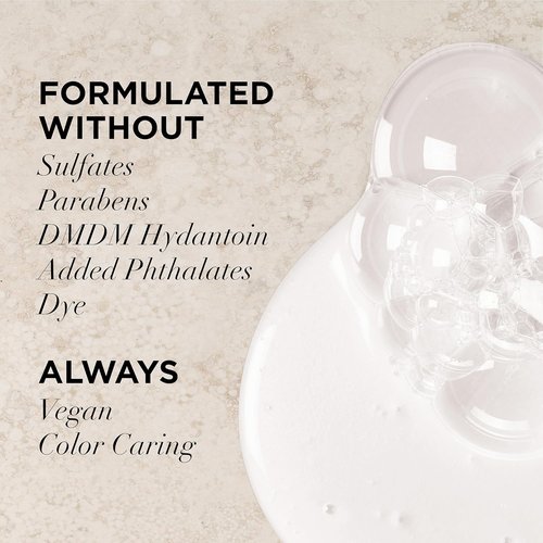L'Oreal Paris EverPure Brightening Shampoo - Nourishing Sulfate-Free Formula for Gray Hair | 8.5 Fl Oz