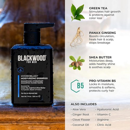 Blackwood For Men Hydroblast Moisturizing Shampoo - Nourishing Formula for Coarse, Dry & Curly Hair - 7 Oz