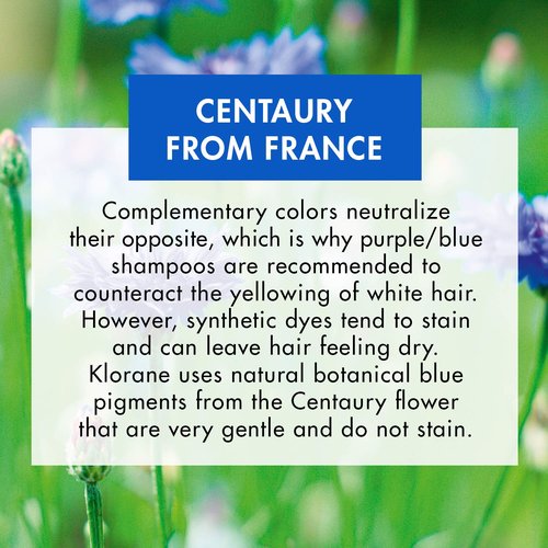 Klorane Shampoo with Centaury - Brightens Blonde & Gray Hair | Neutralizes Yellow Tones - 13.5 fl. oz.