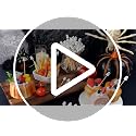 Halloween Ghost Cocktail Picks - 100 Pcs Spooky Ghost Party Decor - Variation: Ghost