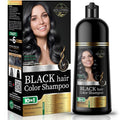 Regine Switzerland Black Hair Dye Shampoo - Instantly Covers Gray Hair - Ammonia-Free, Herbal Formula for Men & Women