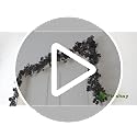 Black Halloween Garland with 10 Roses Berries & Eucalyptus Leaves - 6ft, Variation: Black