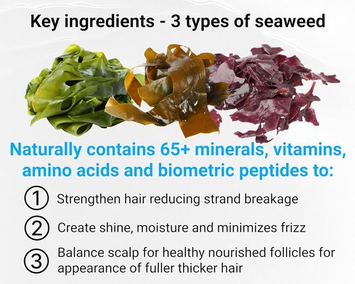 Skiennix Leave-In Conditioner - Seaweed & Algae Enriched Hair Treatment for Frizz Control | 8.5 fl. oz.