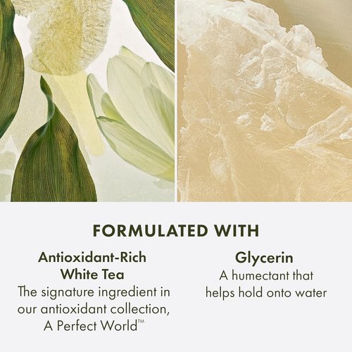 Origins A Perfect World Antioxidant Cleanser - Hydrating Formula for Dry & Combination Skin | 5 Fl Oz