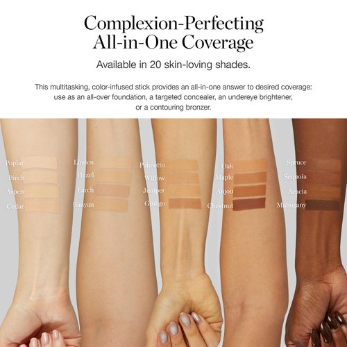 Ogee Sculpted Complexion Foundation Stick (Palmetto 2.80N - Medium Light Tan, Olive Undertones) Full Coverage Foundation Makeup - Instantly Balance & Even Complexion - 70% Organic Ingredients