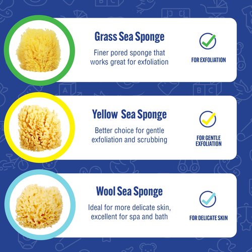 Baby Buddy Baby Bath 4in Yellow Sea Sponge, Absorbent Natural Sea Sponge, Soft on Tender Skin, Biodegradable, Hypoallergenic, Bath Accessories for Bathing, 3 Pack