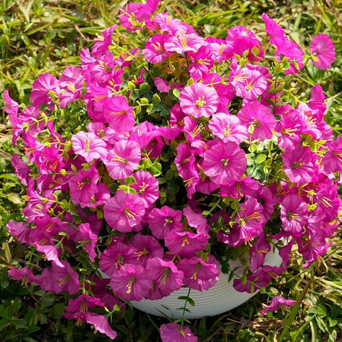 Fanfantoey Artificial Flowers - UV Resistant Silk Morning Glory Faux Plants | 14 Pcs for Outdoor Decor (Fuchsia)