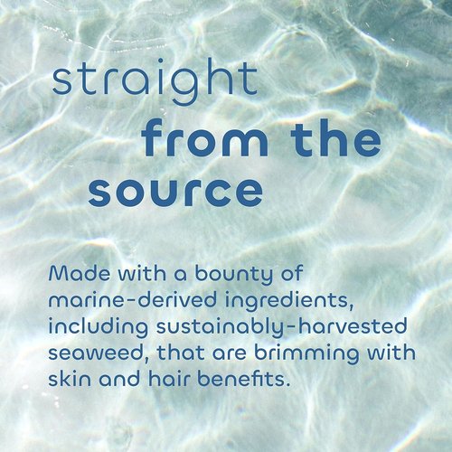 Seaweed Bath Co. Gentle Shampoo & Conditioner Set - Nourishing Hair Care for Sensitive Scalps - 12 oz (Pack of 2)