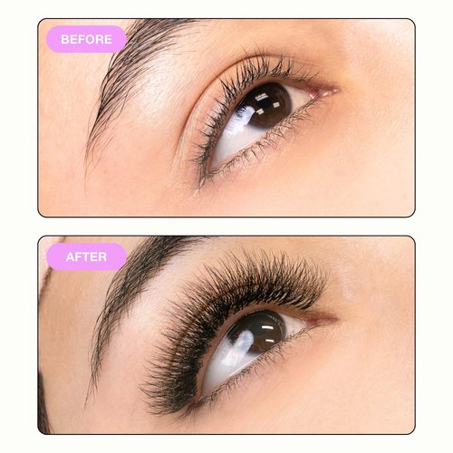 Curacoro Camellia Promade Fans - Handmade Volume Promade Eyelashes Fans 5D to 10D, C CC D Curl, Thickness 0.03~0.07mm, 7-14mm Mix Lengths, Professional Long-Lasting Promade Lash Fans