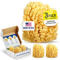 Baby Buddy Baby Bath 4in Yellow Sea Sponge, Absorbent Natural Sea Sponge, Soft on Tender Skin, Biodegradable, Hypoallergenic, Bath Accessories for Bathing, 3 Pack