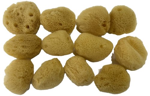 Soft Natural 12 Silk Sponges 1.5" Cosmetic Makeup Application Removal Face Eye Nail Cleaning Like Cotton Balls Awesome Aquatic Creating The Perfect Bath & Shower (12 Pack 1.5" Silk)