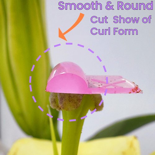 Lash Lift Shields U Curl 6 Size Lash Lift Lifting Pad Round Eyelash Lifting Shield Shiny Perm Rods Make Eyes Ultra Curl Flexible Pads Extreme Rod 100 Use Elastic Lami Perming Roller Anti Tint Stain
