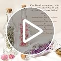 Mini Glass Bottles with Corks 12-Pack Assorted Shapes for Crafts and Decor
