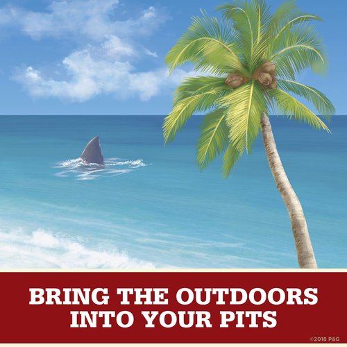 Old Spice Aluminum Free Deodorant for Men Fiji With Palm Tree Scent Inspired By Nature 3 Oz, Pack Of 3