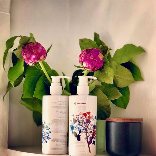 Red Flower Palo Santo Hydrating Hair Wash – Sulfate-Free Moisture Boost Shampoo with Coconut Glycerin & Pro-Vitamin B5, Aromatherapeutic Essential Oil Blend for All Hair Types (10 oz)
