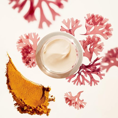 Shiseido Benefiance Wrinkle Smoothing Day Cream - Anti-Aging Moisturizer with SPF 23 - 50 mL