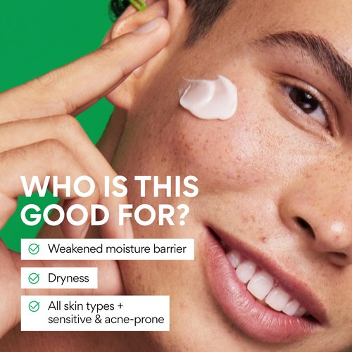 innisfree Jumbo Green Tea Seed Hyaluronic Acid Cream With Barrier Boosting Complex and Ceramide, Korean Hydrating Face Moisturizer for Dry Skin
