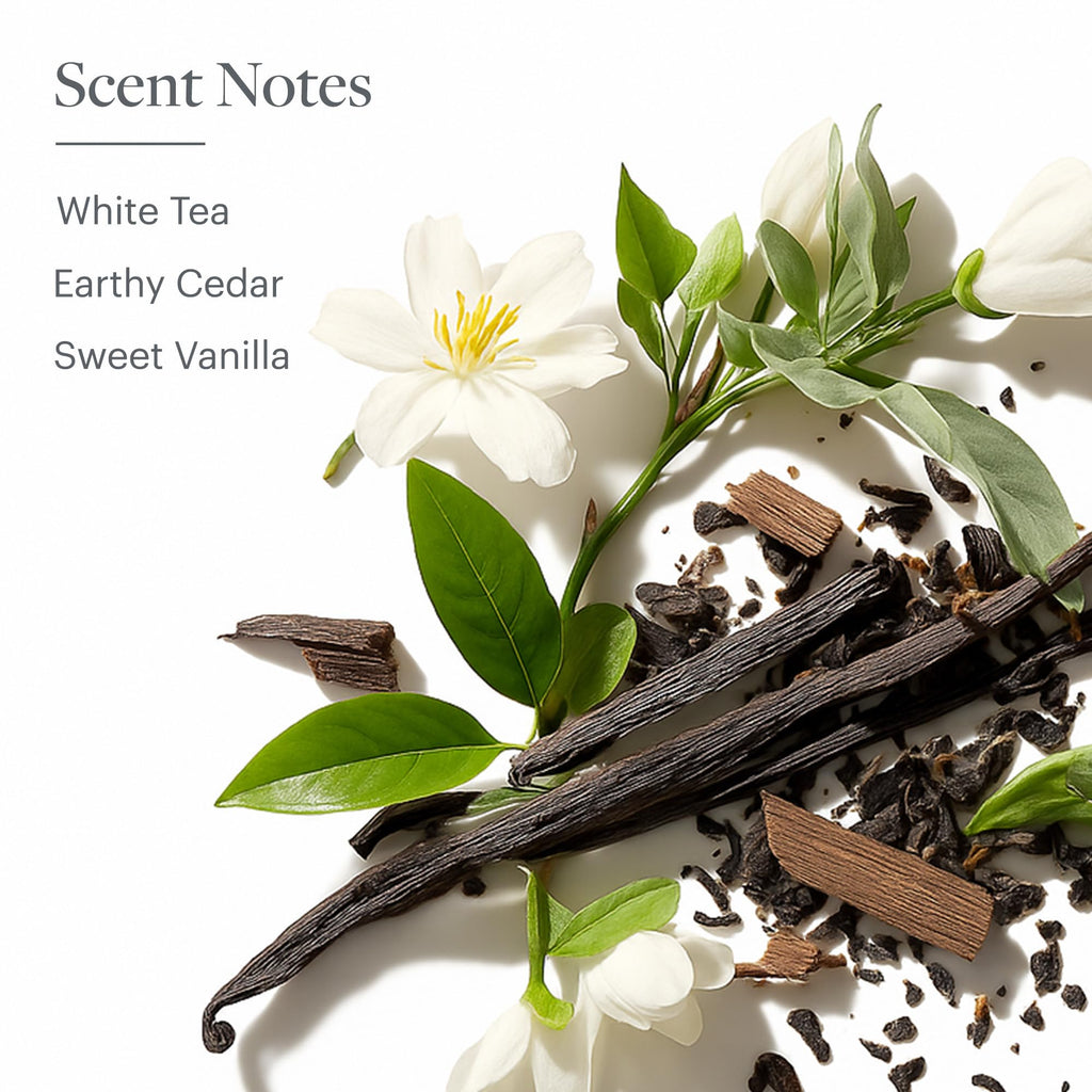 Westin White Tea Aloe Body Wash - Hydrating Bath and Shower Gel with Signature White Tea Aloe Scent - 8 ounces