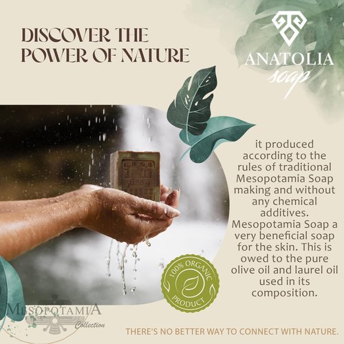 Anatolia Soap Organic Handmade Natural Castille Body For Men Women (%60 Laurel Oil And%40 Olive Oil)