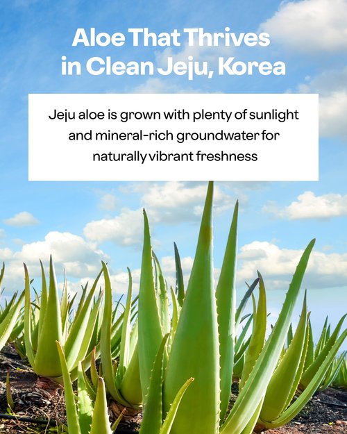 HOLIKA HOLIKA Aloe 99% Soothing Gel 2 Pack – Alcohol-Free Fermented Aloe & Cica Cooling Gel for Face Body Hair | Non-Sticky After Sun Gel, 7-Free Hypoallergenic Korean Skincare, 2 x 8.45 fl oz