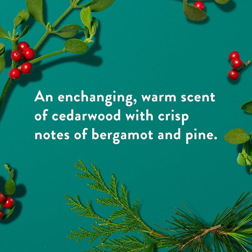 Native Deodorant - Holiday Edition Fresh Mistletoe Scent | 72-Hour Odor Control, Aluminum-Free, Unisex