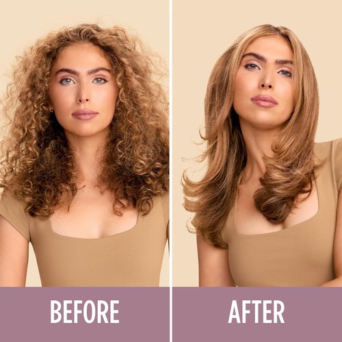 Shark HT202 Heated Comb & Blow Dryer Brush - Dual Mode for All Hair Types | Silk Finish