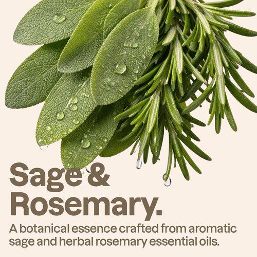 ATTITUDE Volumizing Shampoo - Essential Oils for Fine & Flat Hair | EWG Verified, Vegan, 16 Fl Oz