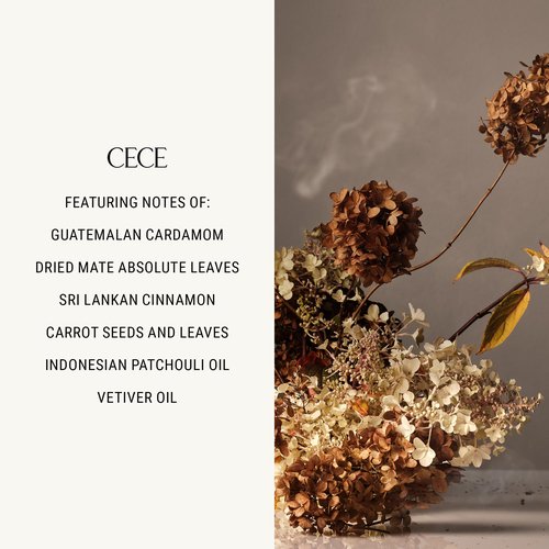 Homecourt Hand Wash, Gently Cleanses & Hydrates, Removes Dirt & Debris Without Irritating Skin, Clean Formula, Cece 2.0, 12 fl oz
