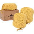 myHomeBody Bath Sponge, Foam Loofah, Body Scrubber for Bathing, Exfoliating Shower Pouf for Shower – Large Size, Lots of Lather, Curvy, 3 Pack